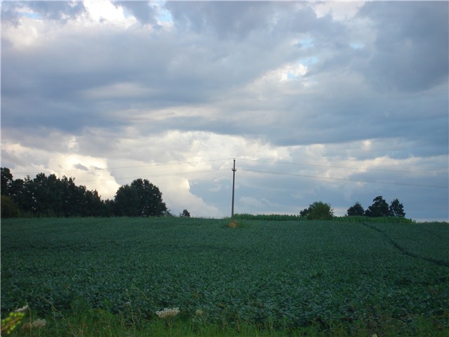 panorama